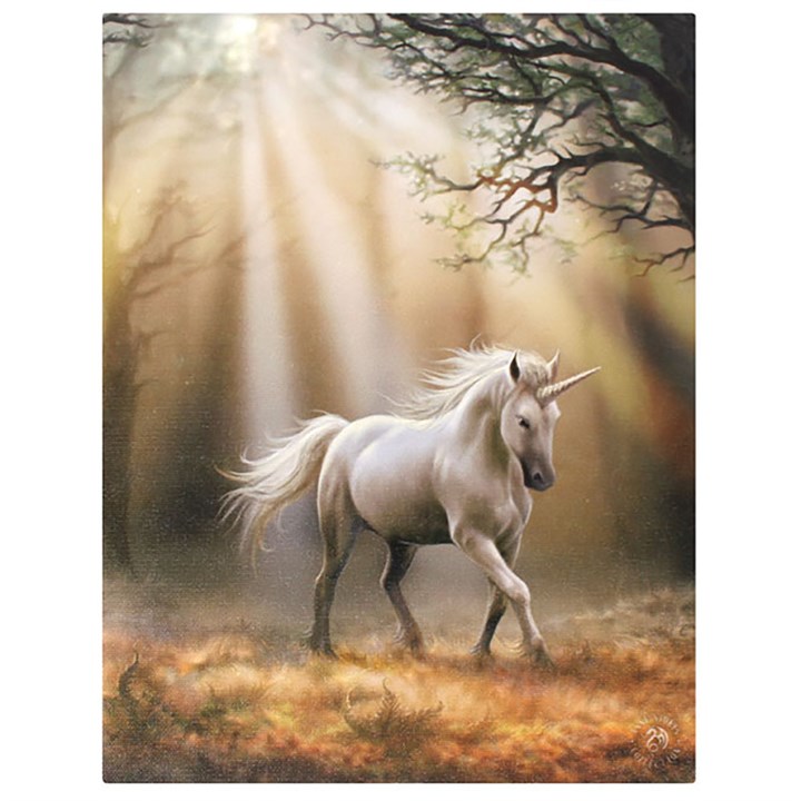 19x25cm Glimpse Of A Unicorn Canvas Plaque By Anne Stokes