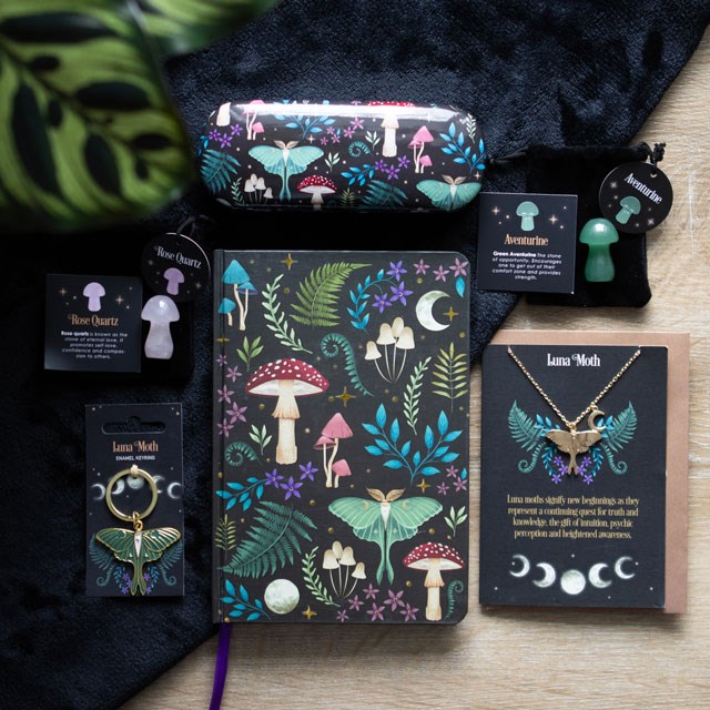 Shop Our Dark Forest Wholesale Range >