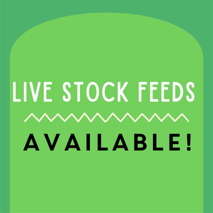 Blog_LiveStockFeeds.png