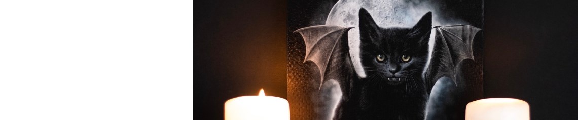 Official Spiral Direct gothic range featuring licensed dark designs. Iconic, edgy products with strong brand recognition. Exclusive B2B access, no minimum order.