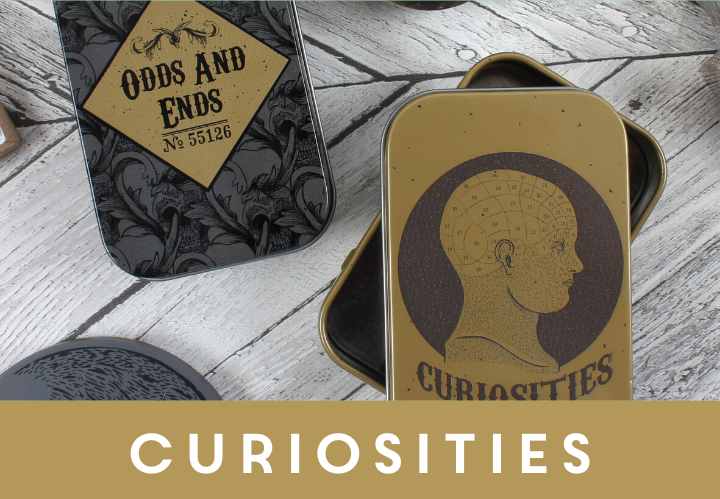 Popular Picks Cabinet of Curiosities 