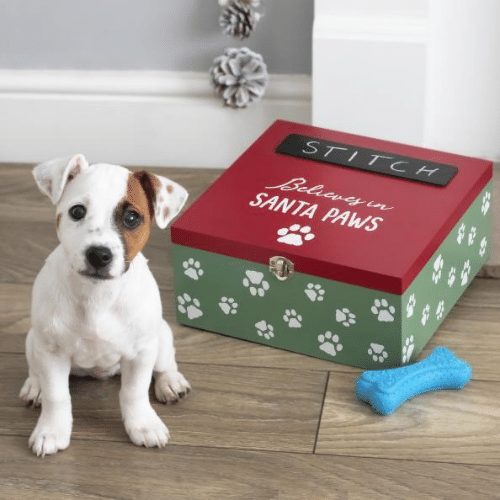 Wholesale Pet Christmas Eve Box