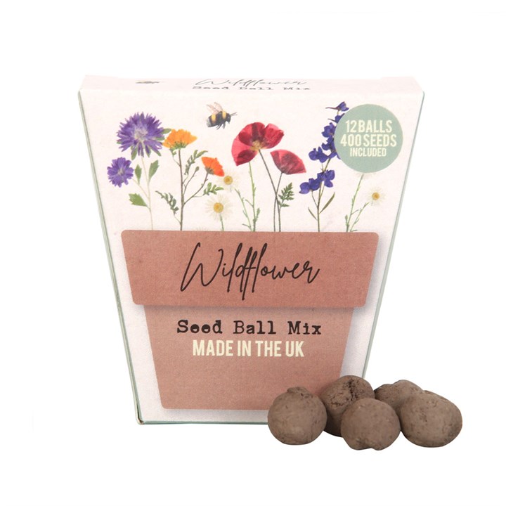 Set of 12 Wildflower Seed Ball Packs in Display Something Different