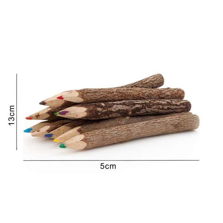 Bundle of 10 Twig Pencils Something Different Wholesale
