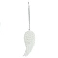 Glitter Angel Wing Hanging Decoration