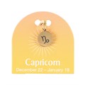 Capricorn Gold Tone Zodiac Sign Charm