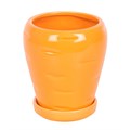 Carrot Shaped Plant Pot with Parsley Seed Balls