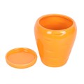 Carrot Shaped Plant Pot with Parsley Seed Balls