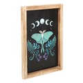 Luna Moth Framed Wall Art Print