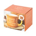 Pumpkin Spice Mug Oil Burner and Wax Warmer