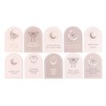 Luna Moth Affirmation Cards with Wooden Stand