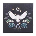 Night Owl Light Up Canvas Plaque