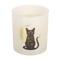 Black Cat Magick Black Fig Candle