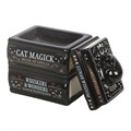 Black Cat Book Stack Oil Burner with Cat