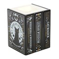 Black Cat Book of Spells Oil Burner and Wax Warmer