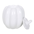 Tall White Pumpkin Oil Burner