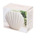Seashell Oil Burner