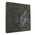Black Cat Stepping Stone