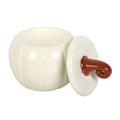 White Curly Pumpkin Oil Burner