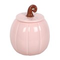 Pink Curly Pumpkin Oil Burner