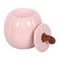 Pink Curly Pumpkin Oil Burner