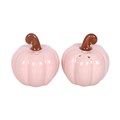 Pink Curly Pumpkin Salt and Pepper Shakers
