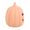 15cm Terracotta Pumpkin Ornament
