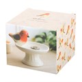 Robin Bird Bath Trinket Dish