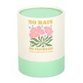 No Rain, No Flowers Citrus & Ginger Candle