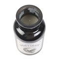 Mystic Raven Deadly Nightshade Apothecary Candle