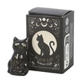 Set of 24 Black Cat Token Gifts in Display