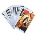 Seasons of the Witch Winter Tarot Cards