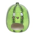 Watermelon Oil Burner