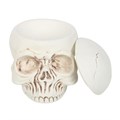 Weathered Skull Oil Burner and Wax Warmer