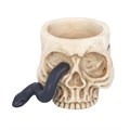 Skull Tealight Holder with Snake