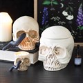 Skull Tealight Holder with Snake