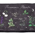 Poisonous Plants Makeup Bag