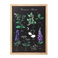 Poisonous Plants Framed Wall Art Print