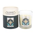 The Star Vintage Tarot Blueberry Candle