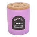 Lammas Cinnamon and Orange Wheel of the Year Candle