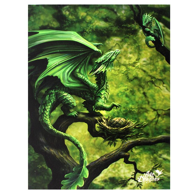 19x25cm Forest Dragon Canvas Plaque by Anne Stokes
