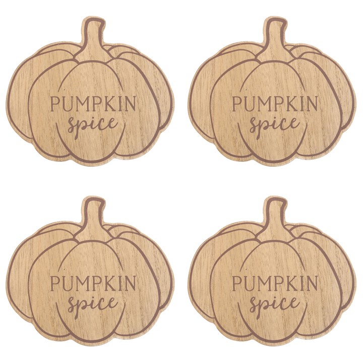 Pumpkin Spice Coaster Set