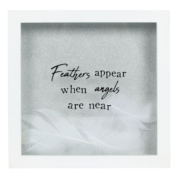 Feathers Appear When Angels are Near Box Frame
