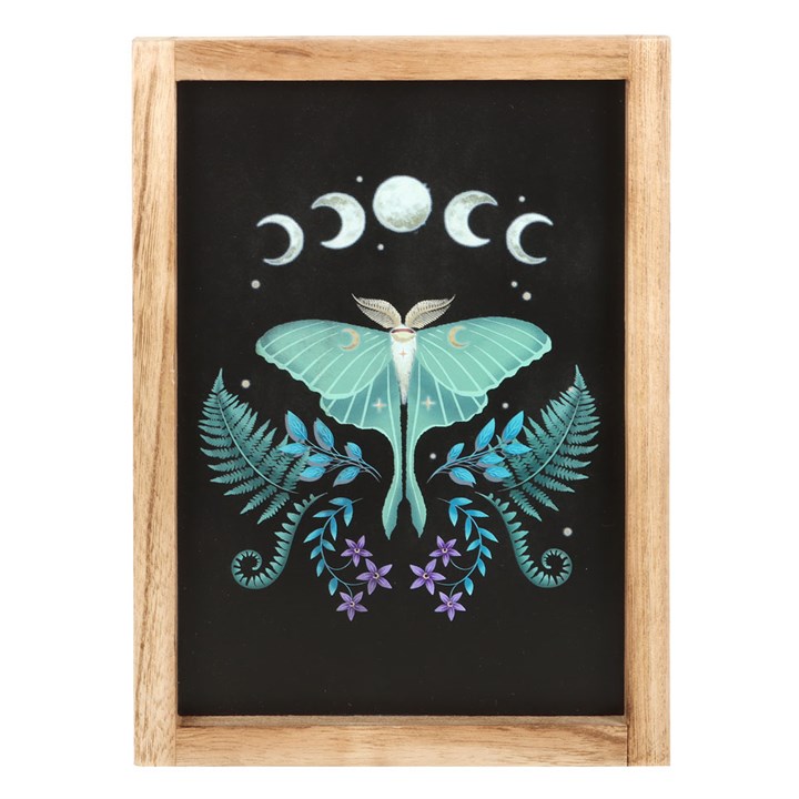 Luna Moth Framed Wall Art Print