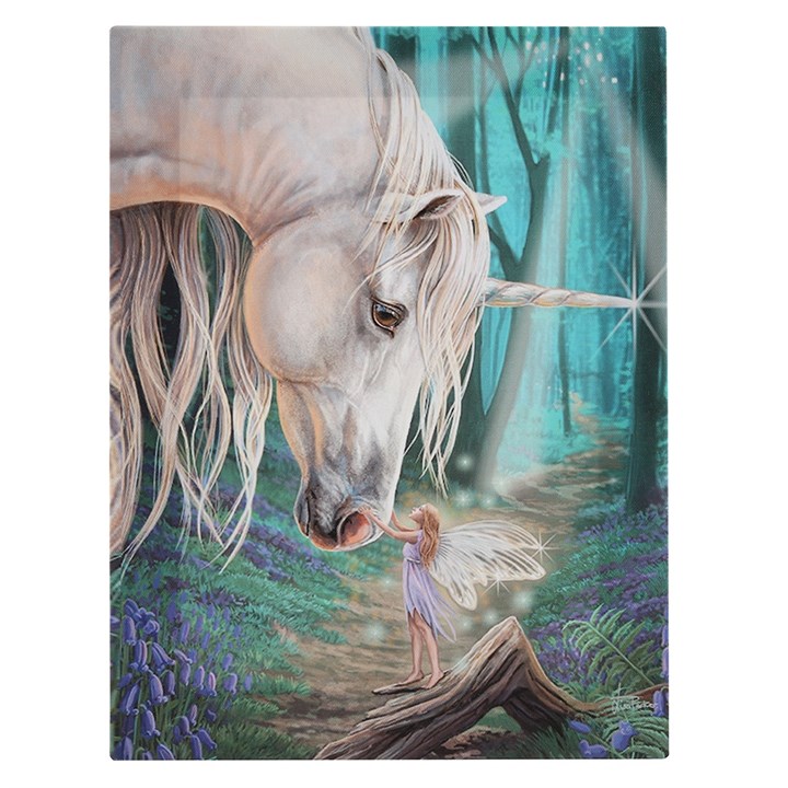 19x25cm Fairy Whispers Canvas Plaque by Lisa Parker