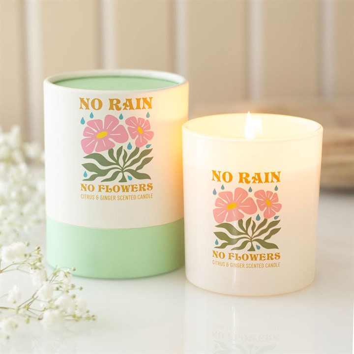 No Rain, No Flowers Citrus & Ginger Candle
