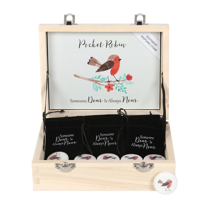 Box of 24 Pocket Robin Sentiment Stones