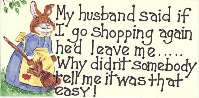 My Husband Said, If I Go Shopping Again...