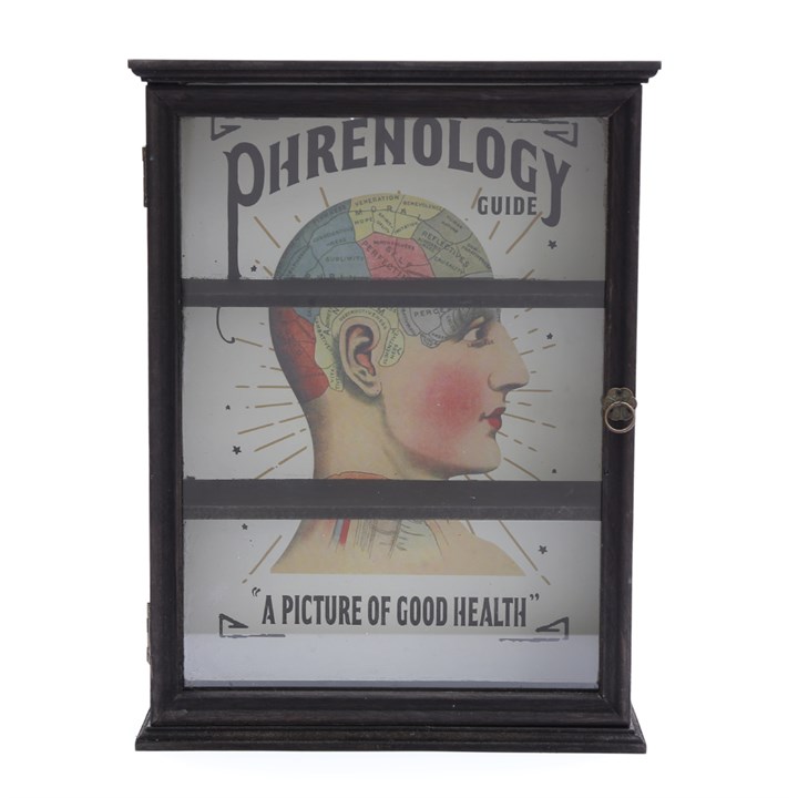 Phrenology Curio Cabinet