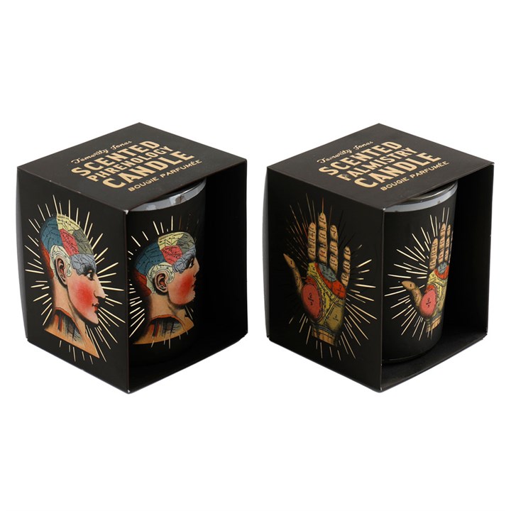 Phrenology & Palmistry Boxed Candle